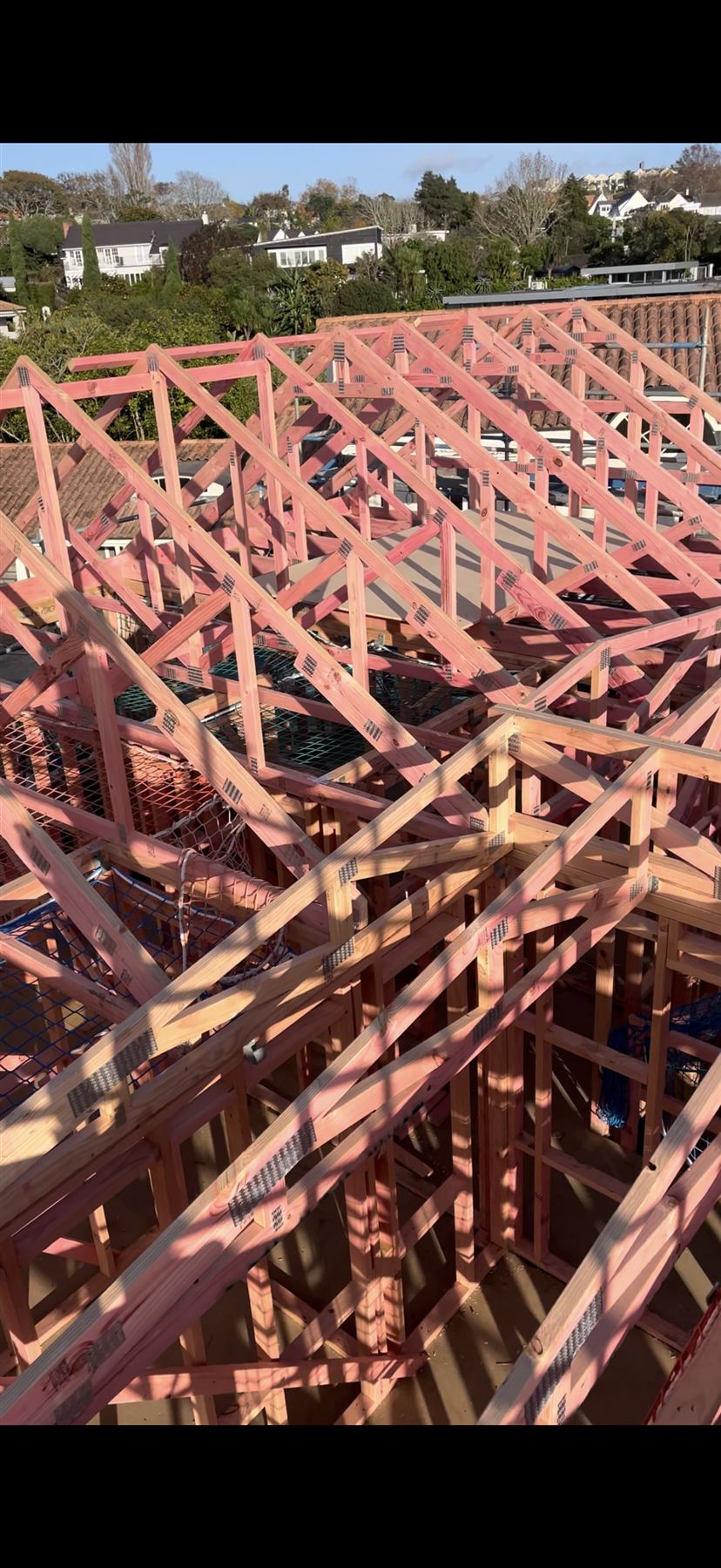 Timber roof framing under construction on an Auckland residential build